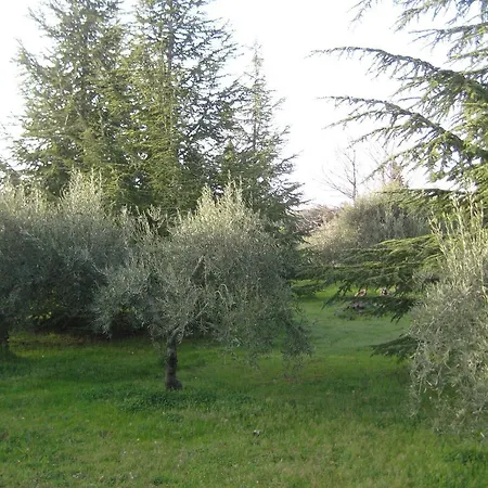 Holiday home La Casa Del Cavaliere Santa Maria di Licodia